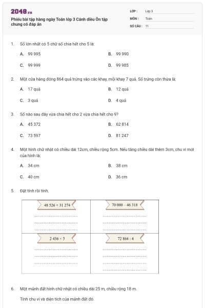 Phiếu bài tập hàng ngày Toán lớp 3 Cánh diều Ôn tập chung có đáp án