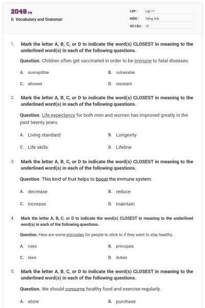 II. Vocabulary and Grammar