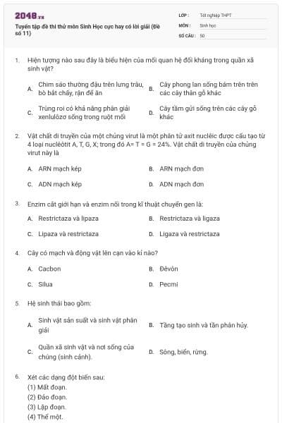 Tuyển tập đề thi thử môn Sinh Học cực hay có lời giải (Đề số 11)