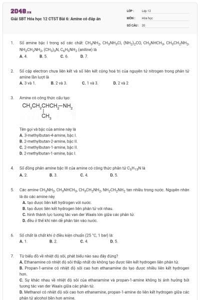 Giải SBT Hóa học 12 CTST Bài 6: Amine có đáp án
