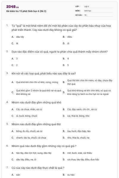 Đề kiểm tra 15 phút Sinh học 6 (Đề 3)