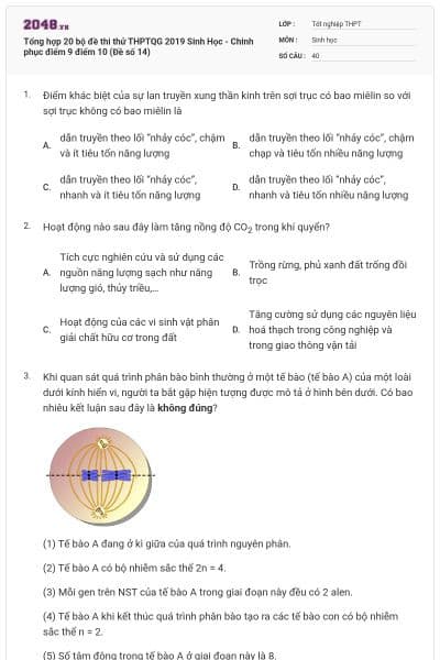 Tổng hợp 20 bộ đề thi thử THPTQG 2019 Sinh Học - Chinh phục điểm 9 điểm 10 (Đề số 14)