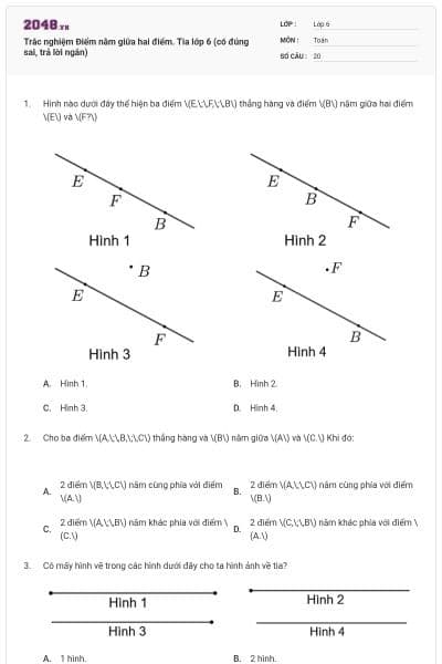Trắc nghiệm Điểm nằm giữa hai điểm. Tia lớp 6 (có đúng sai, trả lời ngắn)