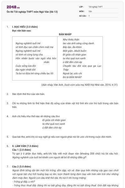 Ôn thi Tốt nghiệp THPT môn Ngữ Văn (Đề 13)