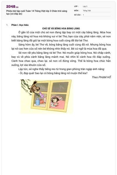 Phiếu bài tập cuối Tuần 14 Tiếng Việt lớp 3 Chân trời sáng tạo (có đáp án)