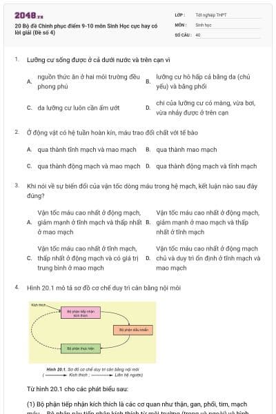 20 Bộ đề Chinh phục điểm 9-10 môn Sinh Học cực hay có lời giải (Đề số 4)