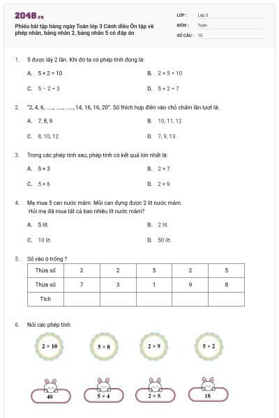 Phiếu bài tập hàng ngày Toán lớp 3 Cánh diều Ôn tập về phép nhân, bảng nhân 2, bảng nhân 5 có đáp án