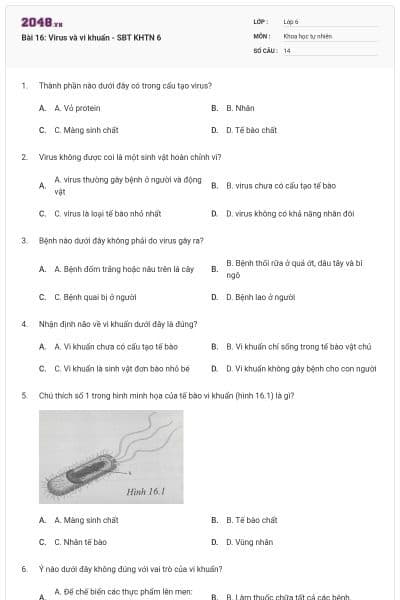 Bài 16: Virus và vi khuẩn - SBT KHTN 6