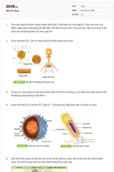 Bài 29: Virus
