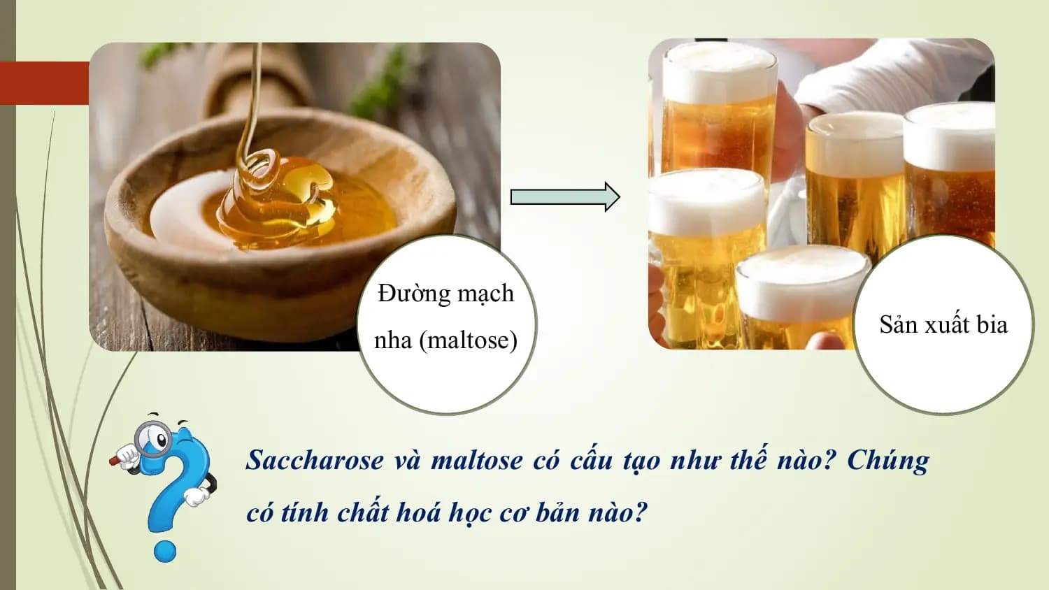 Đường mạch
 Sản xuất bia
 nha (maltose)

Saccharose và maltose có cấu tạo như thế nào? Chúng
có tính chất hoá học cơ bản nào?