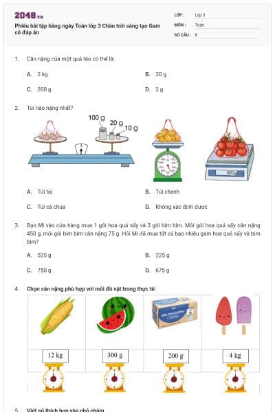 Phiếu bài tập hàng ngày Toán lớp 3 Chân trời sáng tạo Gam có đáp án