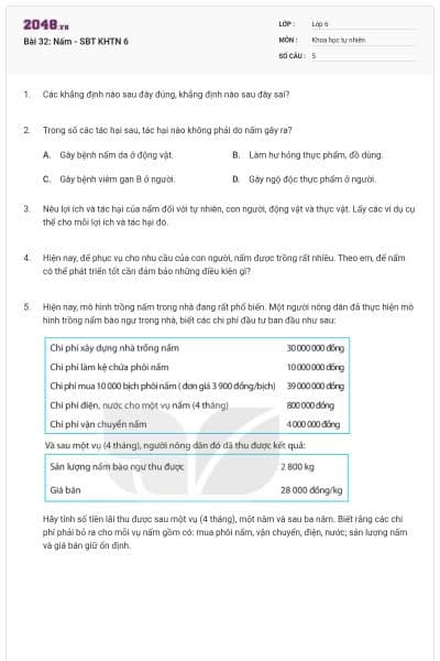 Bài 32: Nấm - SBT KHTN 6