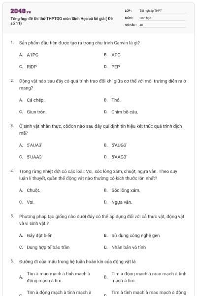 Tổng hợp đề thi thử THPTQG môn Sinh Học có lời giải( Đề số 11)
