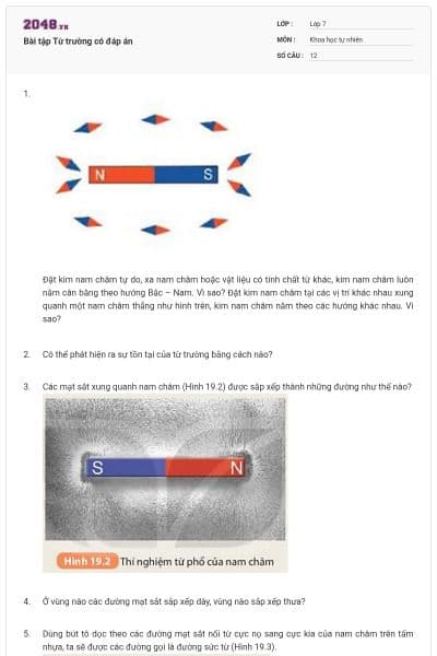 Bài tập Từ trường có đáp án