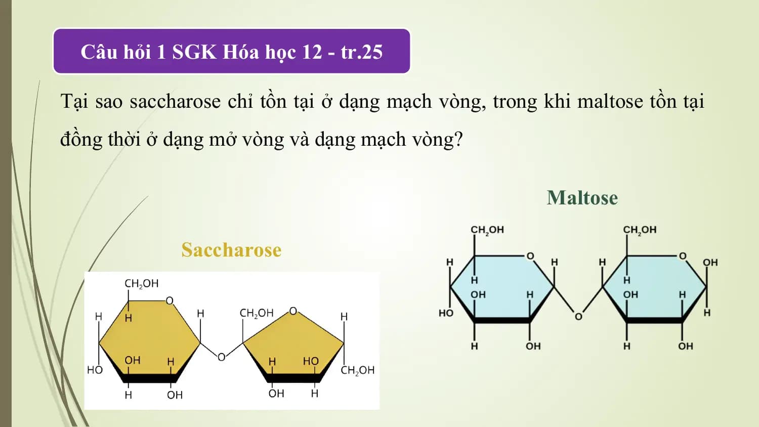 Câu hỏi 1 SGK Hóa học 12 - tr.25

Tại sao saccharose chỉ tồn tại ở dạng mạch vòng, trong khi maltose tồn tại
đồng thời ở dạng mở vòng và dạng mạch vòng?

 Maltose

 Saccharose