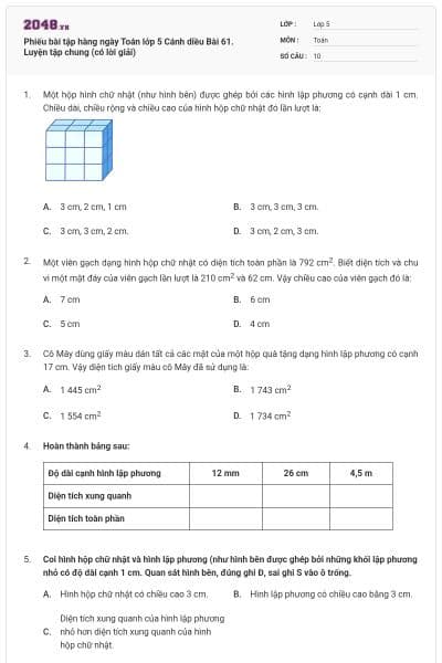 Phiếu bài tập hàng ngày Toán lớp 5 Cánh diều Bài 61. Luyện tập chung (có lời giải)