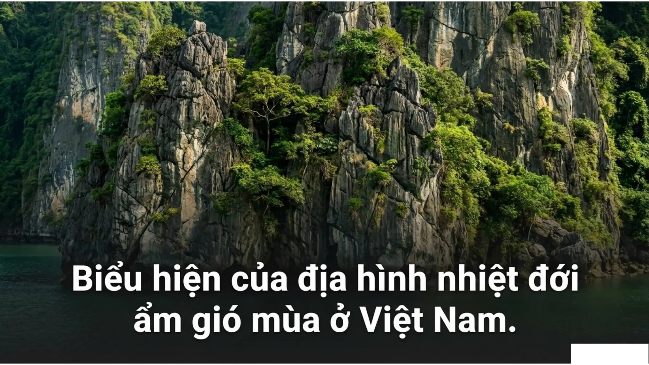 Nội dung nhập