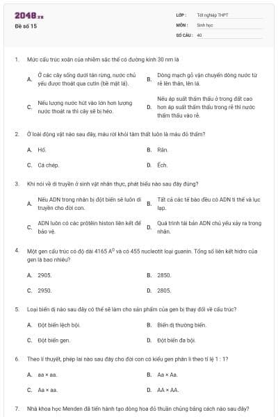 Đề số 15