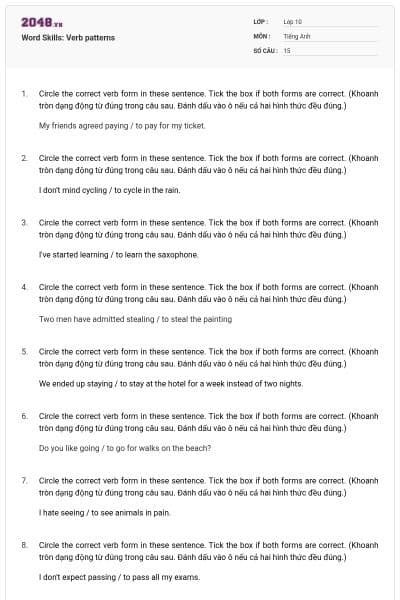 Word Skills: Verb patterns
