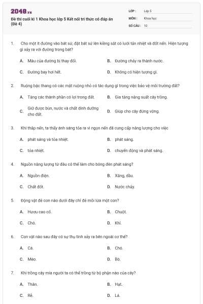 Đề thi cuối kì 1 Khoa học lớp 5 Kết nối tri thức có đáp án (Đề 4)