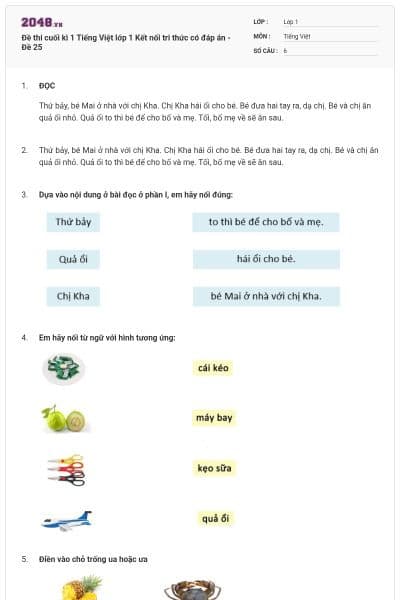 Đề thi cuối kì 1 Tiếng Việt lớp 1 Kết nối tri thức có đáp án - Đề 25