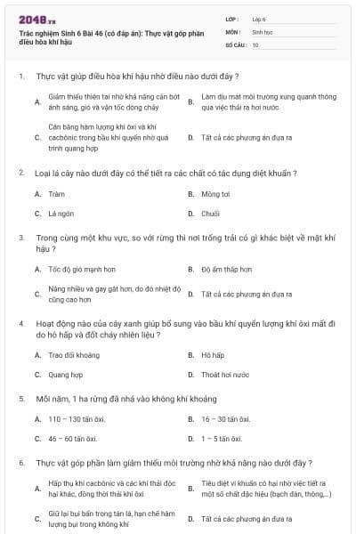 Trắc nghiệm Sinh 6 Bài 46 (có đáp án): Thực vật góp phần điều hòa khí hậu