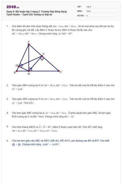 Dạng 4: Bài luyện tập 2 dạng 2: Trường Hợp Đồng Dạng Cạnh Huyền – Cạnh Góc Vuông có đáp án