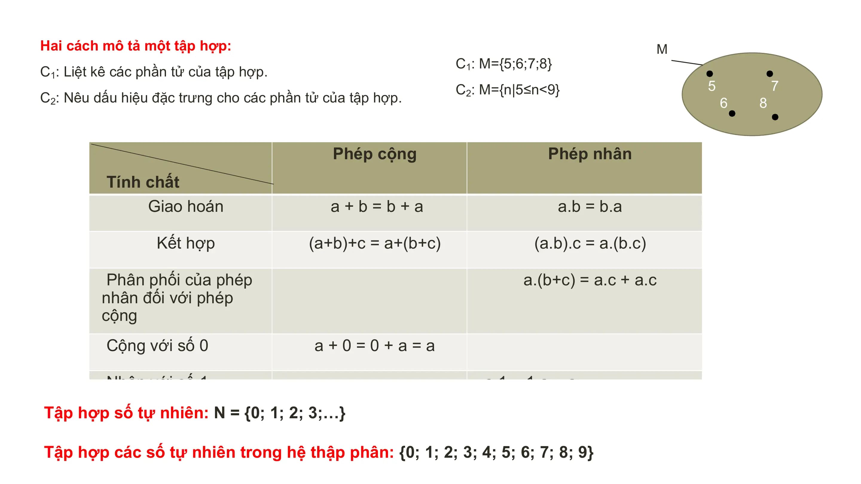 Hai cách mô tả một tập hợp: M
 C1: M={5;6;7;8}
C1: Liệt kê các phần tử của tập hợp.
 C2: M={n|5≤n<9} 5 7
C2: Nêu dấu hiệu đặc trưng cho các phần tử của tập hợp. 6 8

 Phép cộng Phép nhân
 Tính chất
 Giao hoán a+b=b+a a.b = b.a

 Kết hợp (a+b)+c = a+(b+c) (a.b).c = a.(b.c)

 Phân phối của phép a.(b+c) = a.c + a.c
 nhân đối với phép
 cộng
 Cộng với số 0 a+0=0+a=a

 Nhân với số 1 a.1 = 1.a = a
Tập hợp số tự nhiên: N = {0; 1; 2; 3;…}

Tập hợp các số tự nhiên trong hệ thập phân: {0; 1; 2; 3; 4; 5; 6; 7; 8; 9}