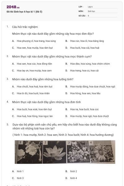 Đề thi Sinh học 6 học kì 1 (Đề 5)