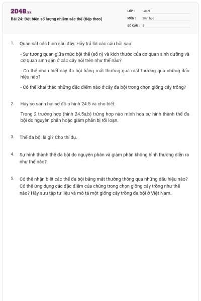 Bài 24: Đột biến số lượng nhiễm sắc thể (tiếp theo)