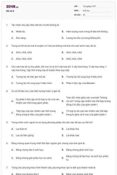 Đề số 6