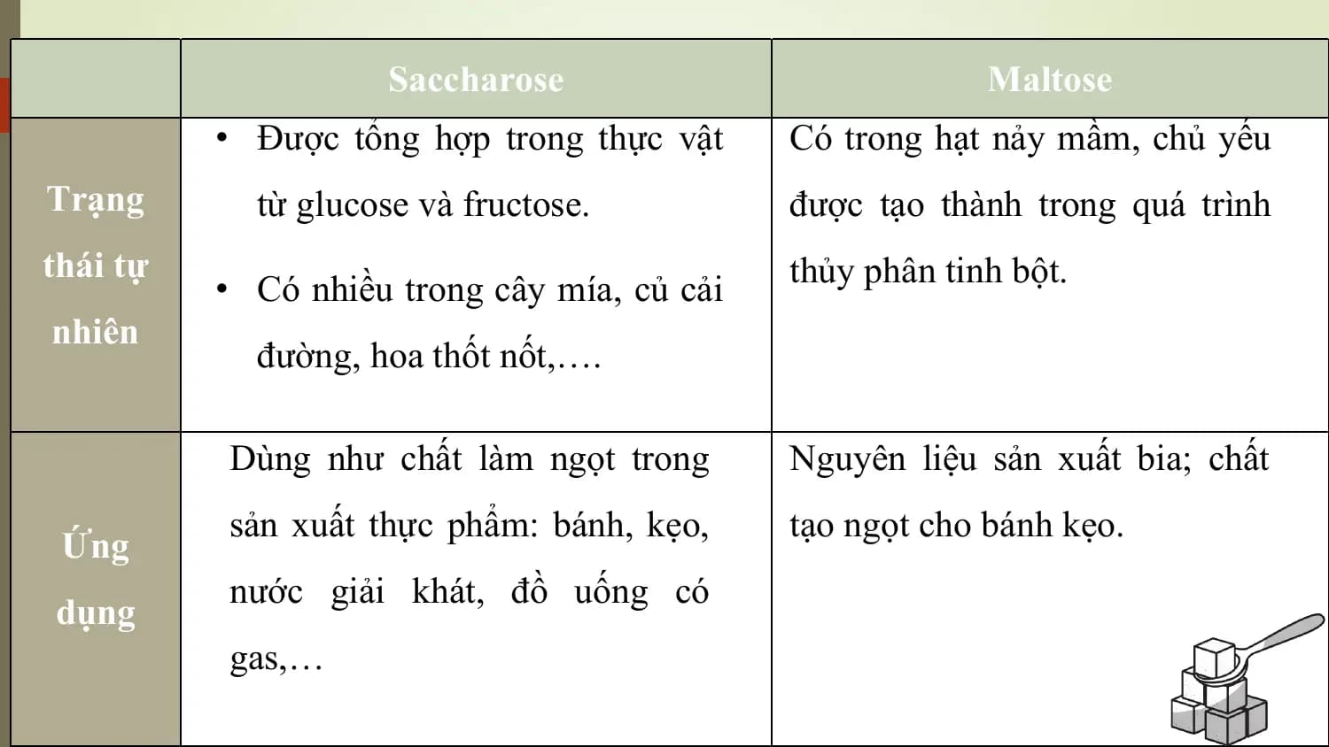 Saccharose Maltose
 • Được tổng hợp trong thực vật Có trong hạt nảy mầm, chủ yếu
Trạng từ glucose và fructose. được tạo thành trong quá trình
thái tự thủy phân tinh bột.
 • Có nhiều trong cây mía, củ cải
nhiên
 đường, hoa thốt nốt,….

 Dùng như chất làm ngọt trong Nguyên liệu sản xuất bia; chất
 sản xuất thực phẩm: bánh, kẹo, tạo ngọt cho bánh kẹo.
 Ứng
 nước giải khát, đồ uống có
dụng
 gas,…
