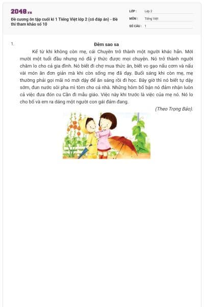 Đề cương ôn tập cuối kì 1 Tiếng Việt lớp 2 (có đáp án) - Đề thi tham khảo số 10