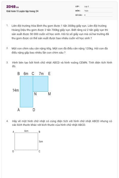 Giải toán 5 Luyện tập trang 24