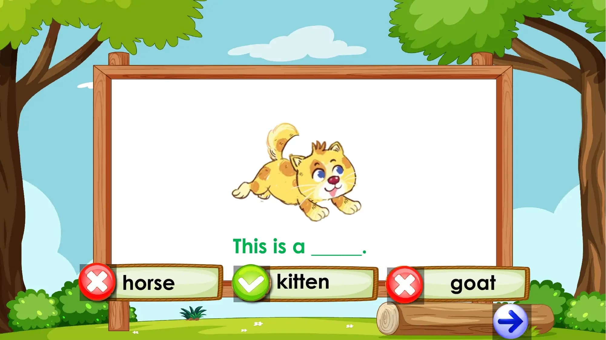 This is a _____.
horse kitten goat