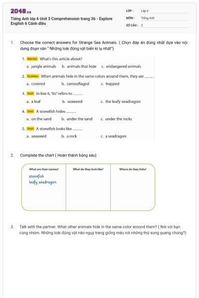 Tiếng Anh lớp 6 Unit 3 Comprehension trang 36 - Explore English 6 Cánh diều