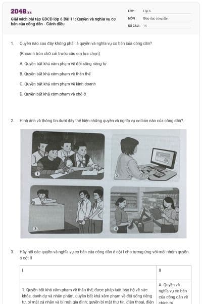 Giải sách bài tập GDCD lớp 6 Bài 11: Quyền và nghĩa vụ cơ bản của công dân - Cánh diều