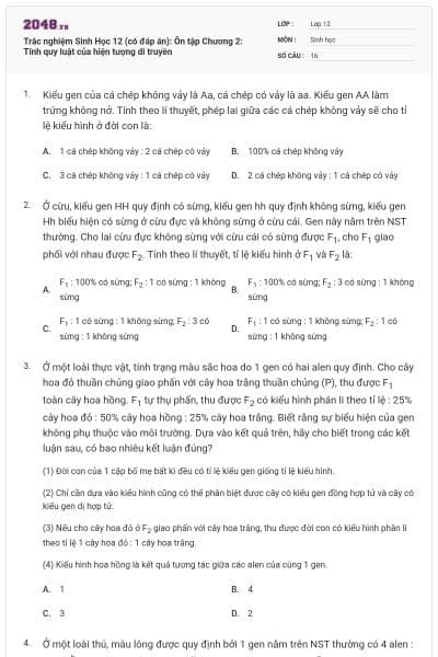 Trắc nghiệm Sinh Học 12 (có đáp án): Ôn tập Chương 2: Tính quy luật của hiện tượng di truyền
