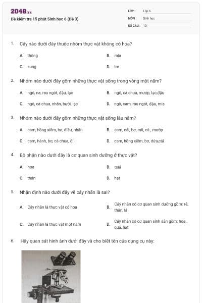 Đề kiểm tra 15 phút Sinh học 6 (Đề 3)