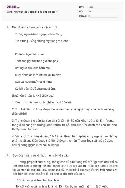 Đề thi Ngữ văn lớp 9 Học kì 1 có đáp án (Đề 1)