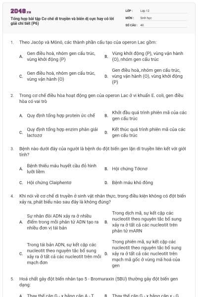 Tổng hợp bài tập Cơ chế di truyền và biến dị cực hay có lời giải chi tiết (P6)