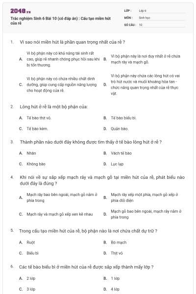 Trắc nghiệm Sinh 6 Bài 10 (có đáp án) : Cấu tạo miền hút của rễ