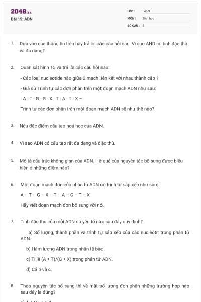 Bài 15: ADN
