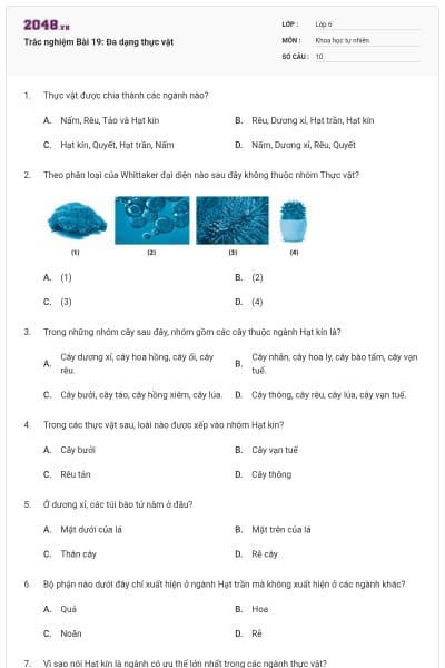 Trắc nghiệm Bài 19: Đa dạng thực vật