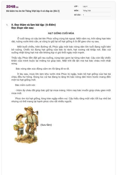Đề kiểm tra ôn hè Tiếng Việt lớp 4 có đáp án (Đề 2)