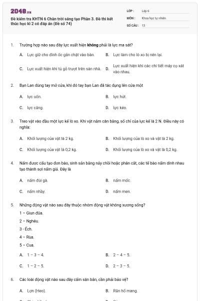 Đề kiểm tra KHTN 6 Chân trời sáng tạo Phần 3. Đề thi kết thúc học kì 2 có đáp án (Đề số 74)