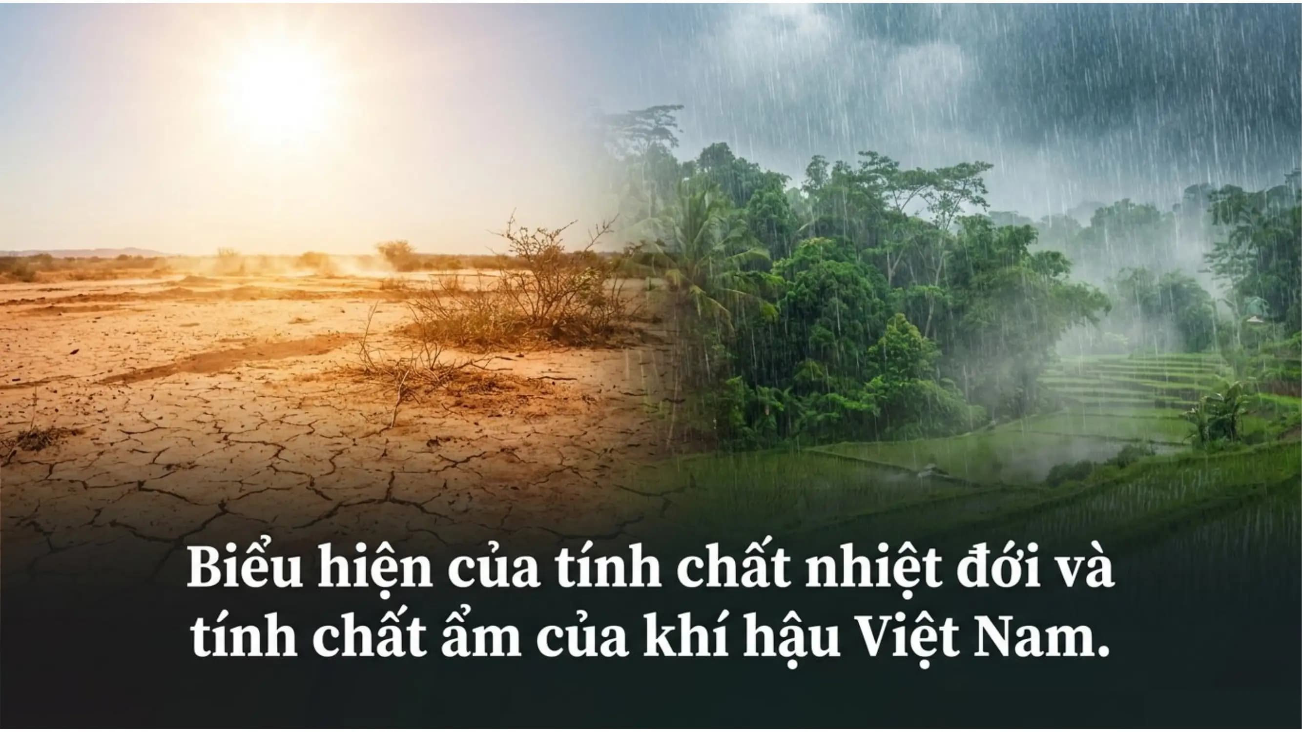 Nội dung nhập