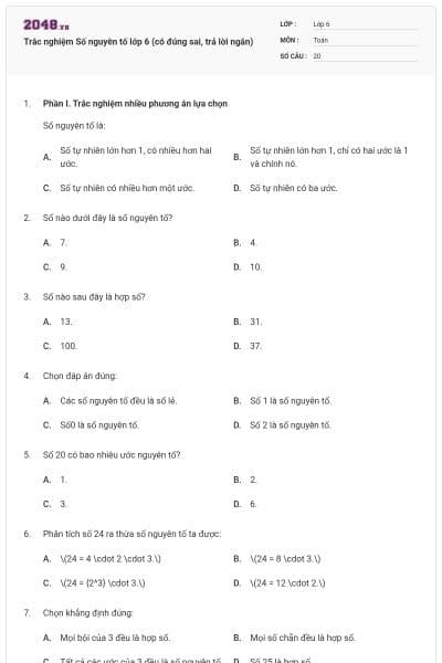 Trắc nghiệm Số nguyên tố lớp 6 (có đúng sai, trả lời ngắn)
