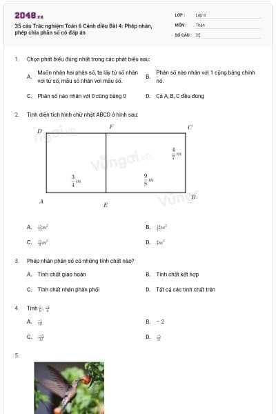 35 câu Trắc nghiệm Toán 6 Cánh diều Bài 4: Phép nhân, phép chia phân số có đáp án