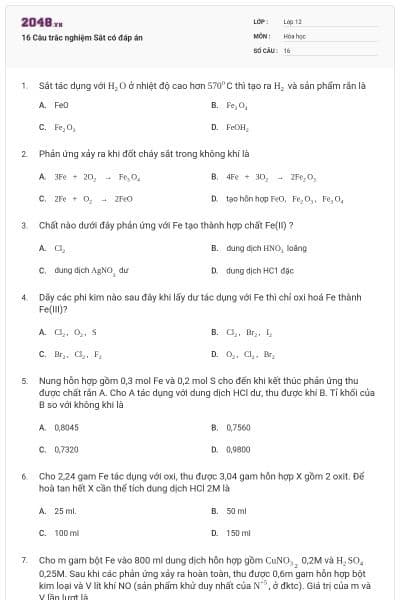 16 Câu trắc nghiệm Sắt có đáp án